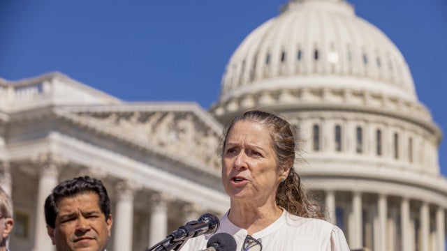 Herdeira da Disney é presa em protesto contra jatos privados