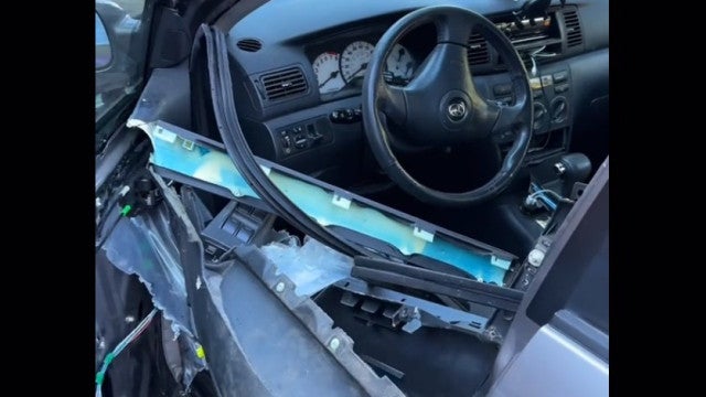 Urso se tranca e destrói interior de carro de influencer; veja o vídeo!