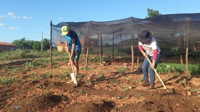 Trabalhadores pedem redução de juros para produzir alimentos no Brasil