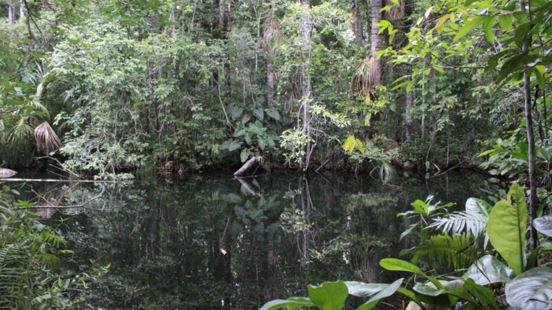 Guardião das Águas será destaque em evento internacional no Rio de Janeiro