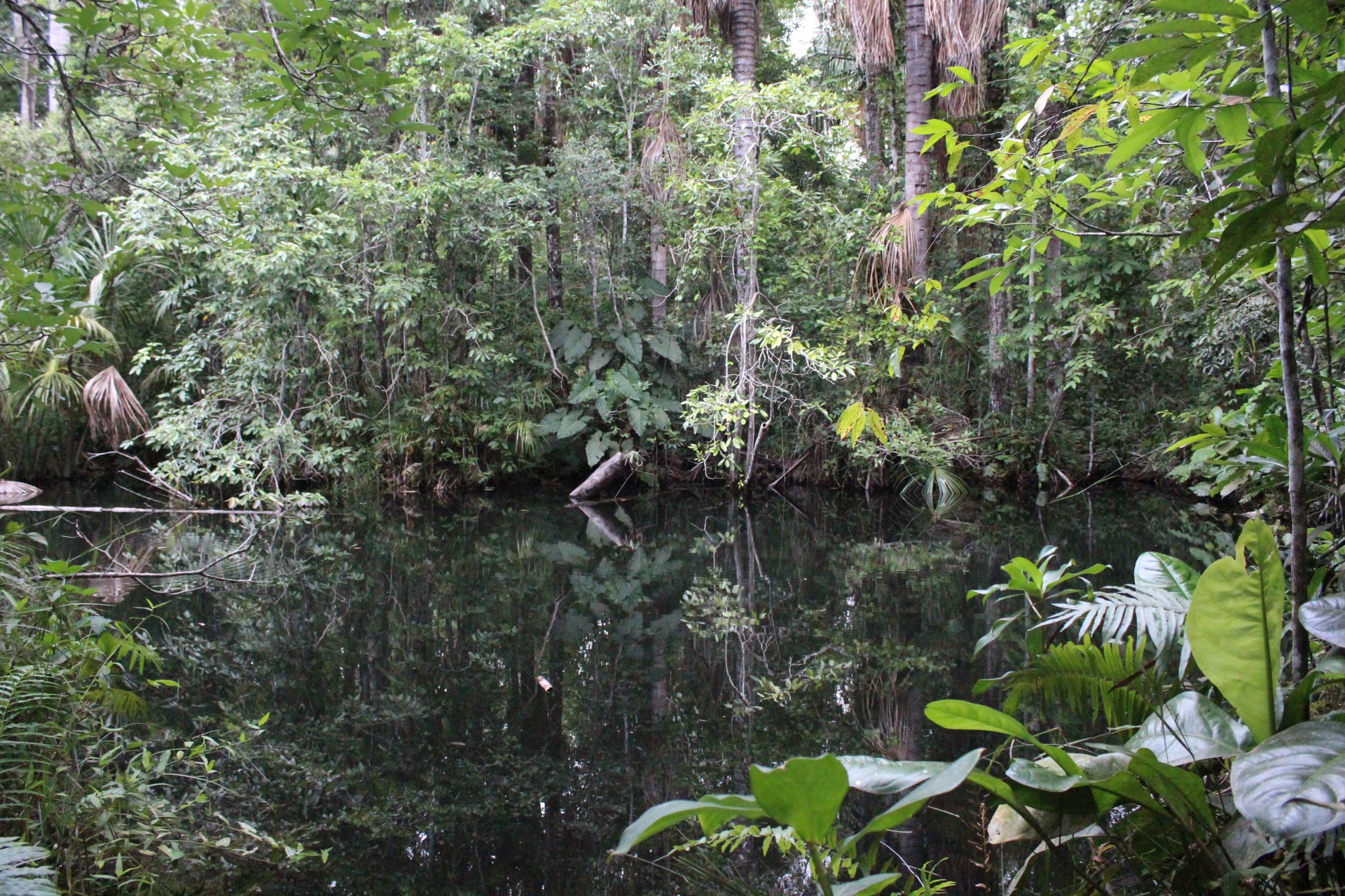 Guardião das Águas será destaque em evento internacional no Rio de Janeiro