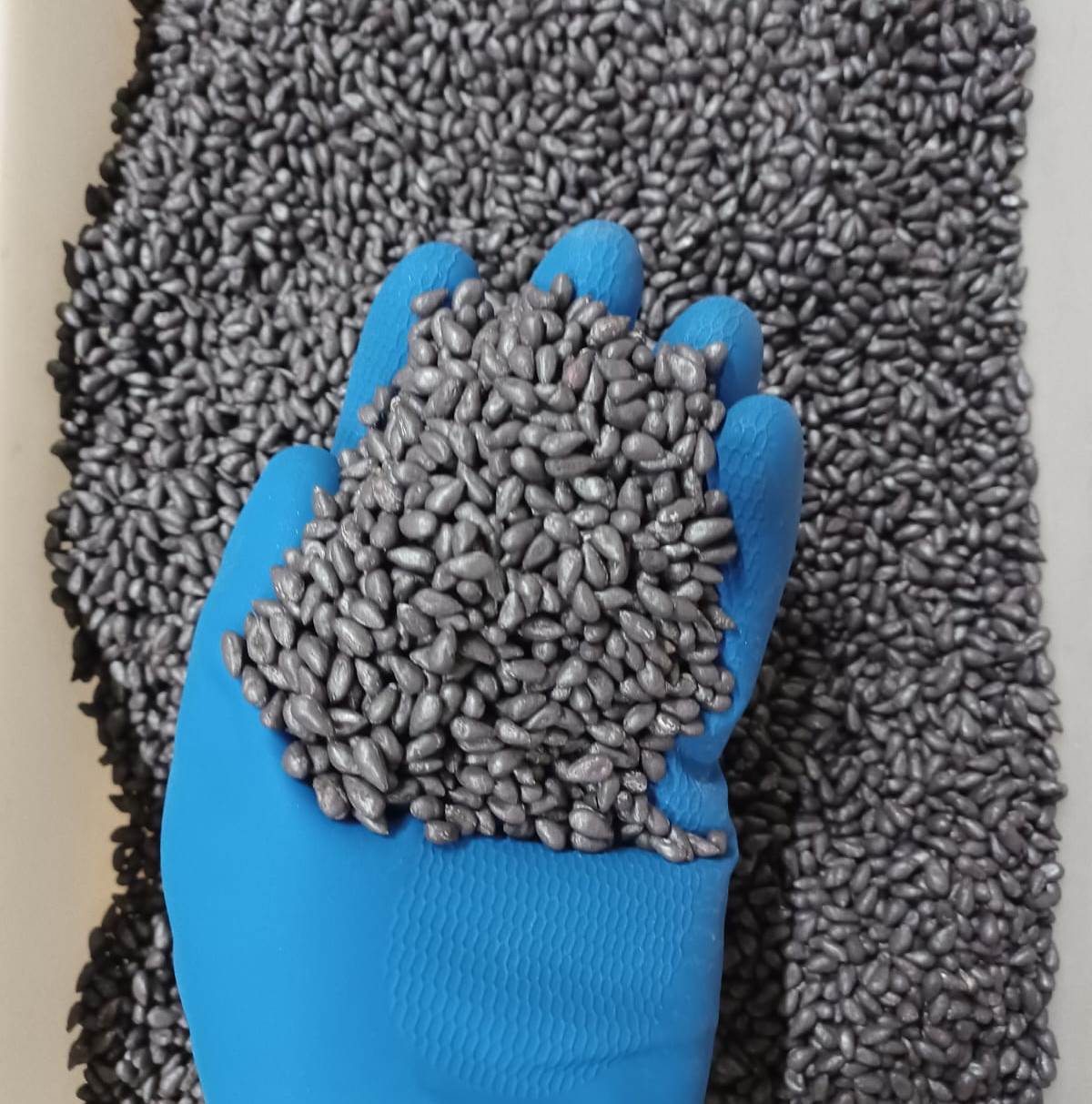 FMC e Girassol Agrícola disponibilizam tecnologia inédita aos cotonicultores