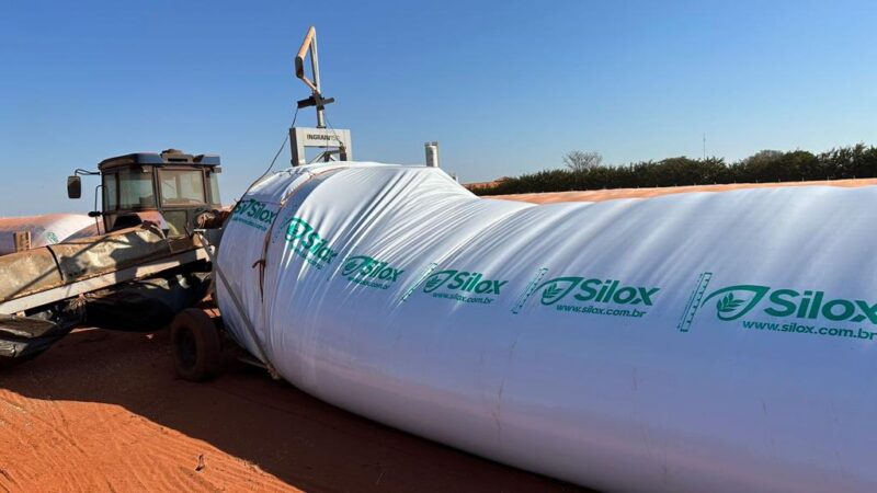 Silo-bolsa ajuda produtor da Bahia a contornar déficit de armazenagem