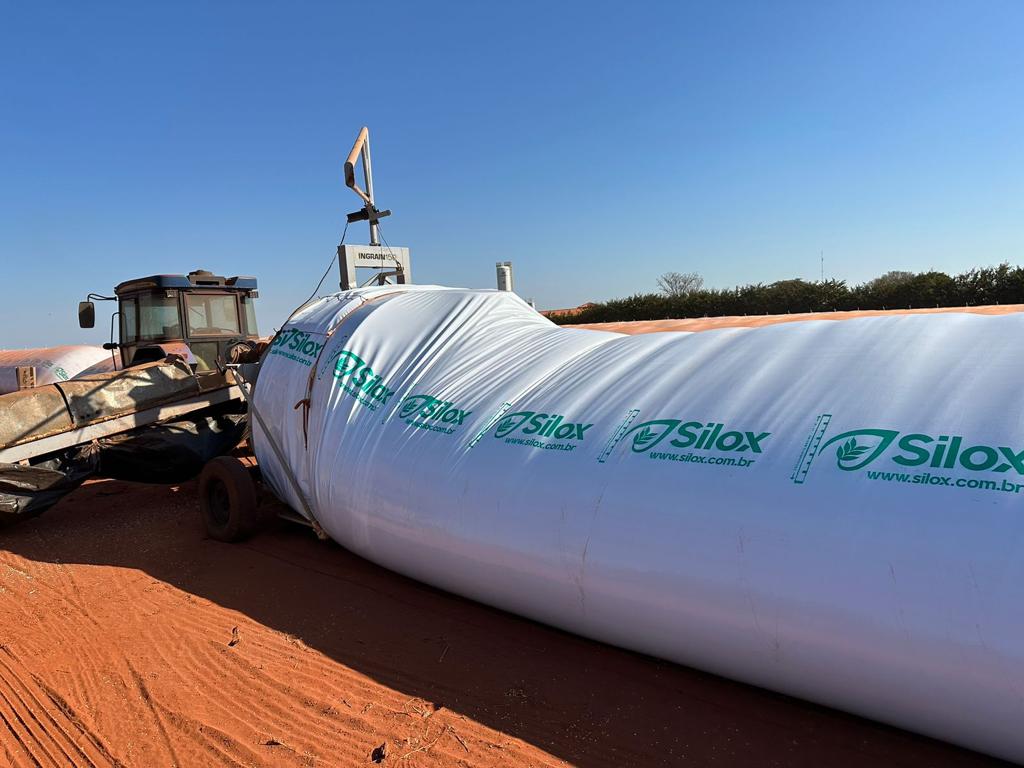 Silo-bolsa ajuda produtor da Bahia a contornar déficit de armazenagem