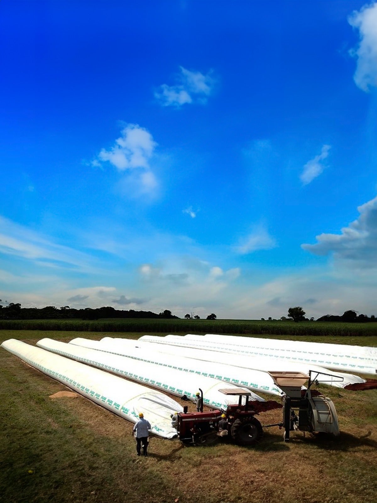 Venda recorde de silo-bolsa ajuda a amenizar o déficit de armazenamento no Brasil