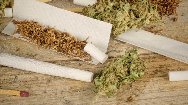 Alemanha: governo dá luz verde à legalização da Cannabis para consumo