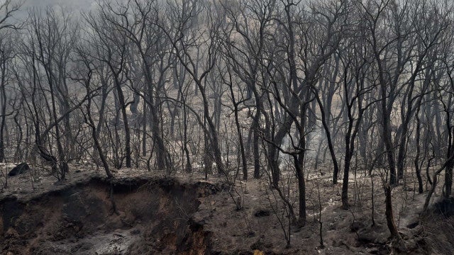 Incêndios florestais causam destruição no Havaí e forçam moradores a fugir pelo mar