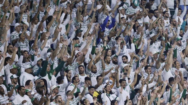 De olho no tetra, Palmeiras enfrenta o surpreendente Deportivo Pereira na Libertadores