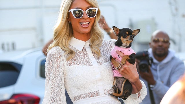 Paris Hilton revela ‘segredo’ para não cair no esquecimento