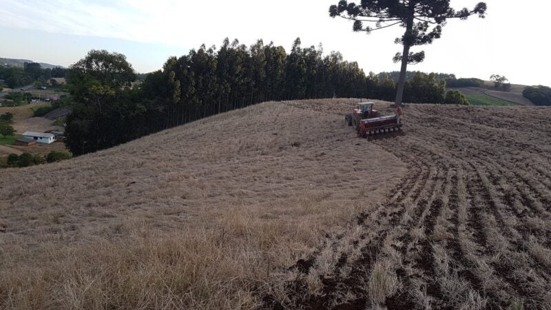 Semeadura em contorno é alternativa contra erosão