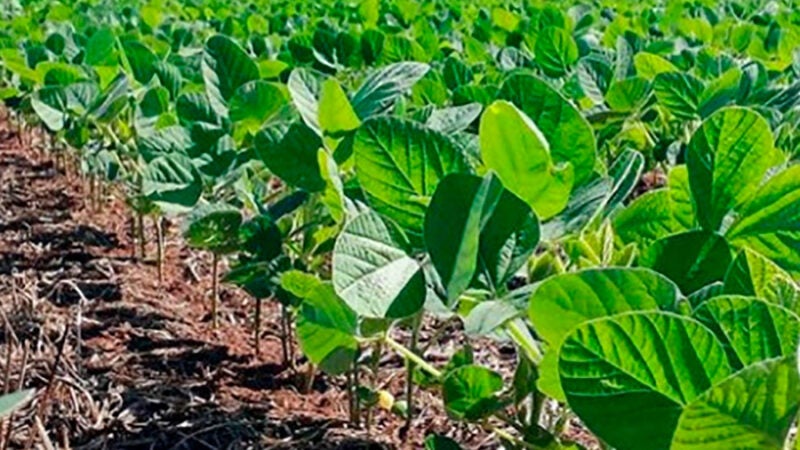 Matupá vai definir transporte de calcário para fortalecer atividades da agricultura familiar