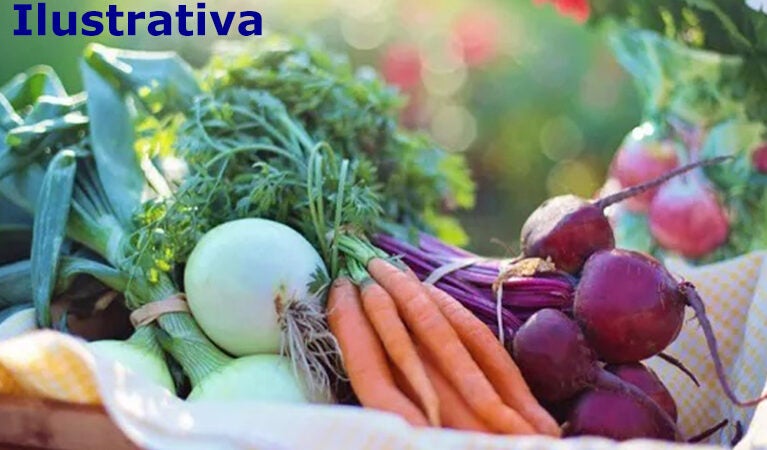 Prefeitura de Guarantã do Norte pública pregão para compra de sementes de hortaliças e insumos agrícolas