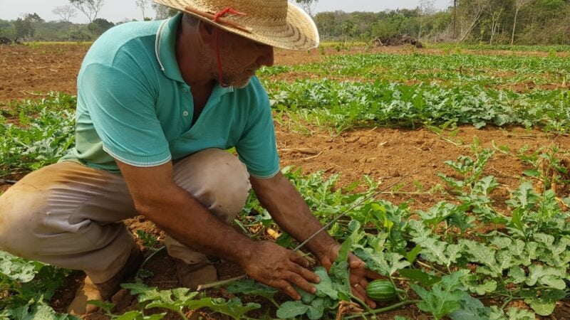 Em atividade há 59 anos, Empaer atende mais de 30 mil agricultores de MT por ano