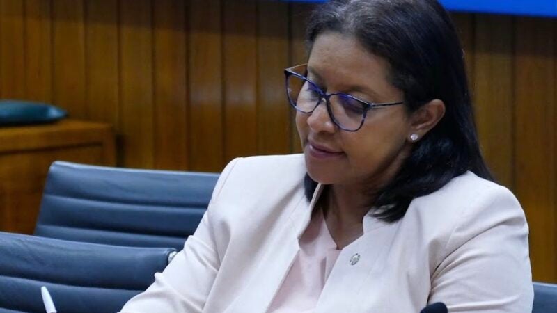Deputada mato-grossense avalia que minirreforma vai ‘impactar muito forte’ nas eleições