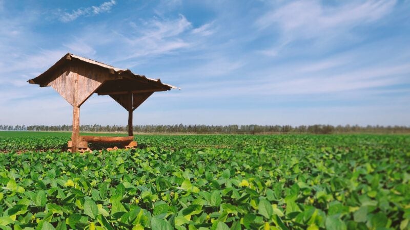Caravana percorre São Paulo para difundir a ILPF