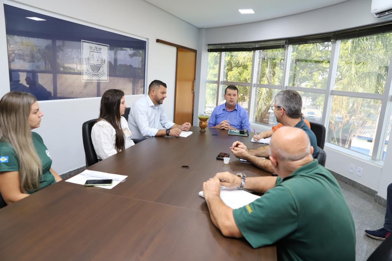 Sorriso: secretaria deve apresentar plano para ampliar cuidados com animais vítimas de abandono e maus tratos