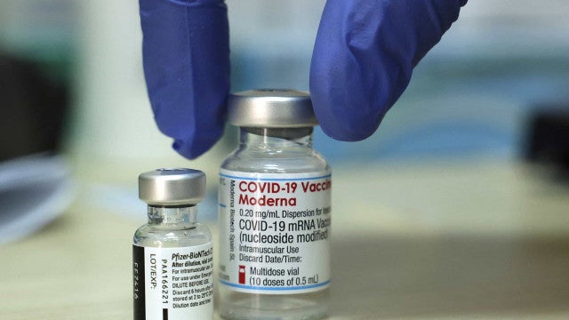 Covid-19: pesquisa reforça segurança de vacinas para gestantes e bebês