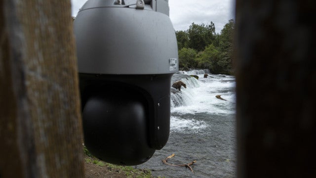 Homem é resgatado graças a transmissão ao vivo de parque natural
