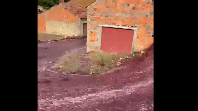Ruas são inundadas por vinho tinto após depósitos estourar em Portugal