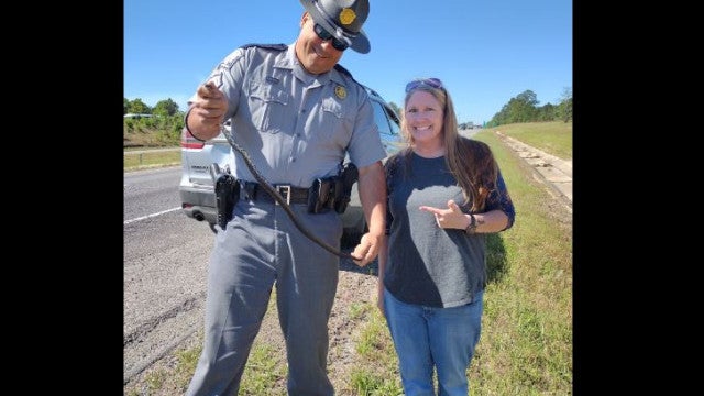 Policial tira cobra de mais de 1m do carro de mulher. "Fiquei assustada"