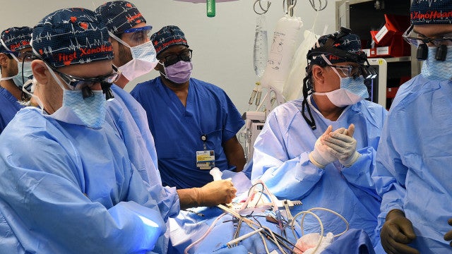 Coração de porco é transplantado para humano pela 2.ª vez