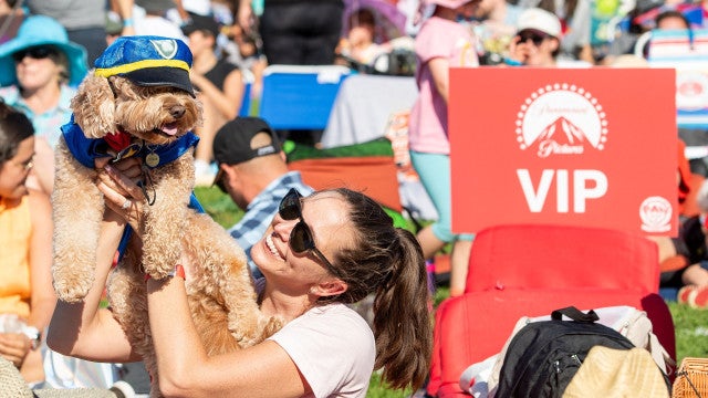 Centenas de cães batem recorde ao assistirem a estreia de filme nos EUA