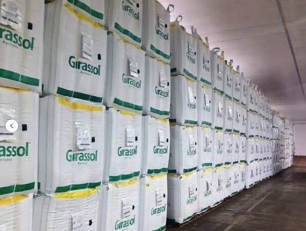 Da origem ao destino final, rastreabilidade das sementes oferece mais segurança ao produtor