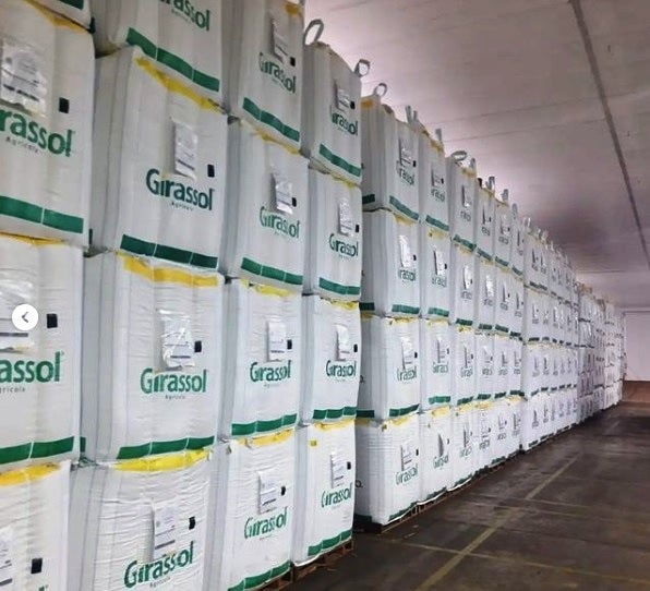 Da origem ao destino final, rastreabilidade das sementes oferece mais segurança ao produtor