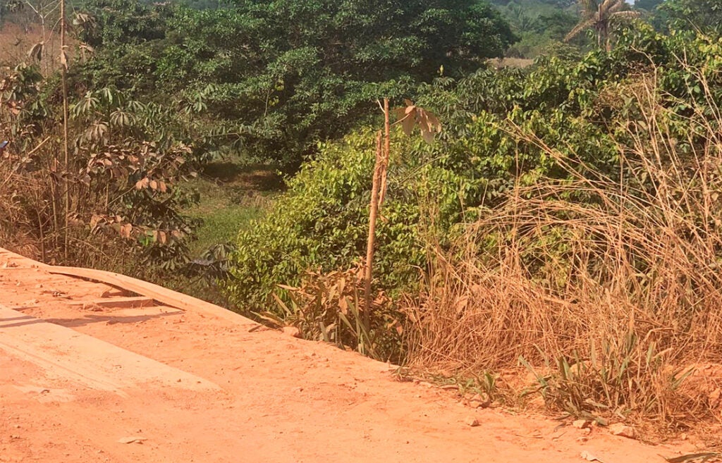 Homem morre ao cair com motocicleta em rio em Novo Mundo