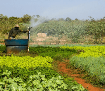 Prefeituras de MT têm até dezembro para aderir a sistema e se beneficiar de lei de redistribuição de ICMS