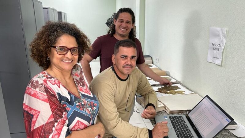Pesquisadores da Unemat descobrem nova espécie da planta ingá