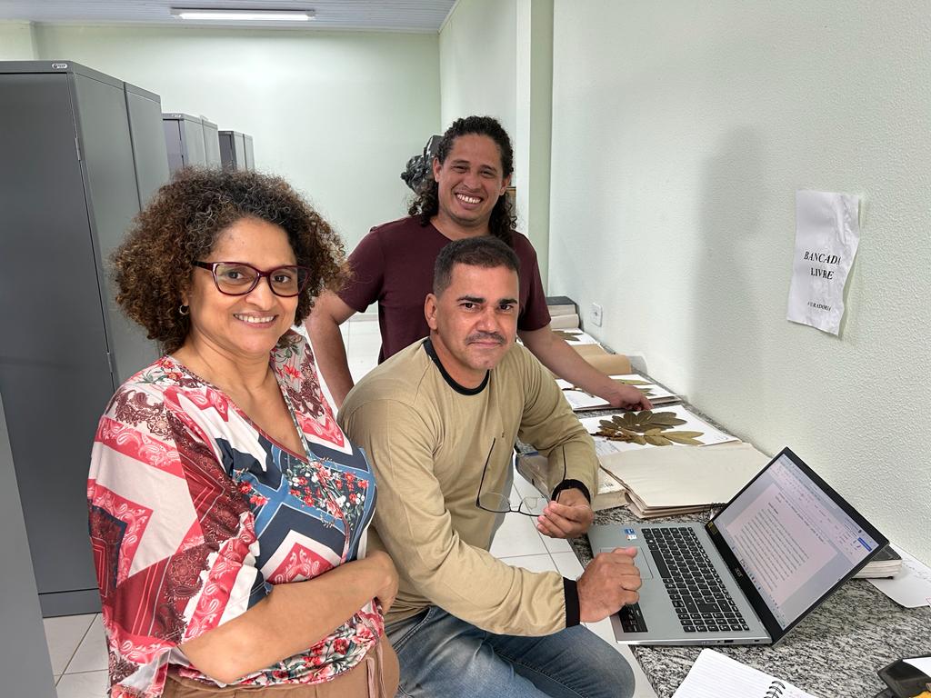 Pesquisadores da Unemat descobrem nova espécie da planta ingá