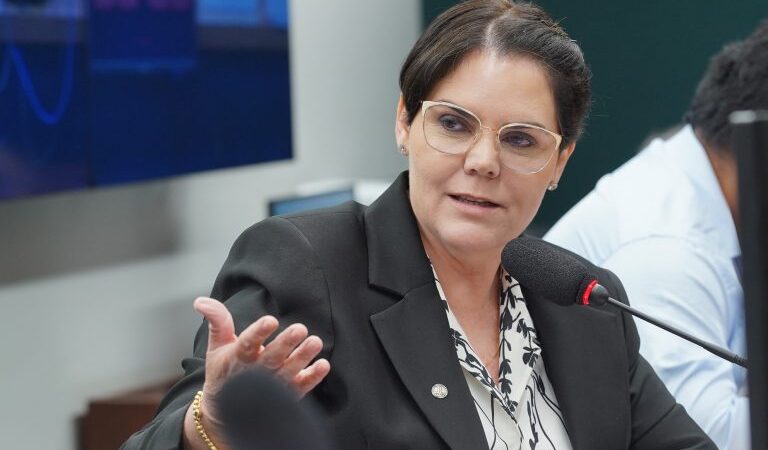 Grupo de deputados que analisa demarcação de terra indígena em Mato Grosso vota relatório nesta 4ª