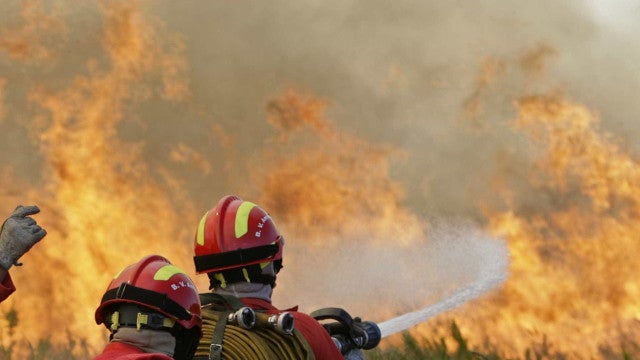 Incêndio atinge mais de 100 veículos em pátio na Região Metropolitana de SP