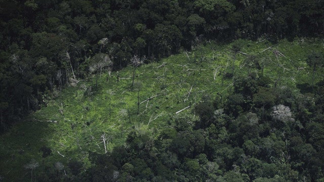 Desmatamento na Amazônia cai em setembro, aponta o Inpe