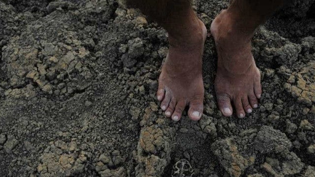 Ligada a El Niño, seca que atinge Amazônia vai durar até dezembro