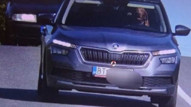 Imagem de cão ao volante na Eslováquia torna-se viral. Dono foi multado