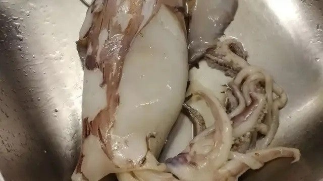 Homem faz descoberta surpreendente dentro de uma lula: "Sem palavras"