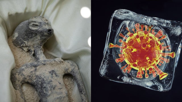 Aliens e vírus zumbis em 2023: As previsões da mulher que antecipou o 11 de setembro