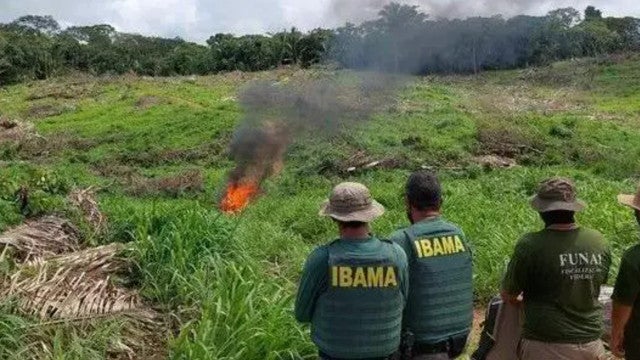 Políticos e fornecedores de grandes frigoríficos são invasores de terra indígena no Pará, diz MPF