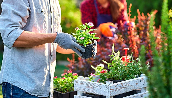 A arte da jardinagem vai muito além da estética