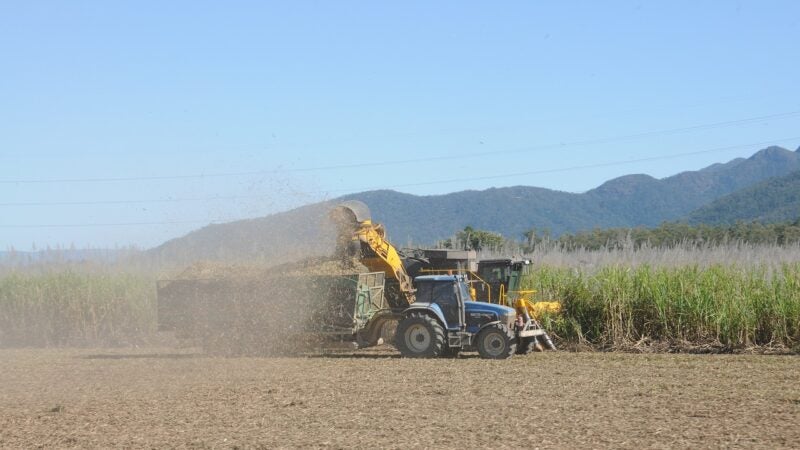Encontro promoverá a troca de experiência no setor sucroenergético