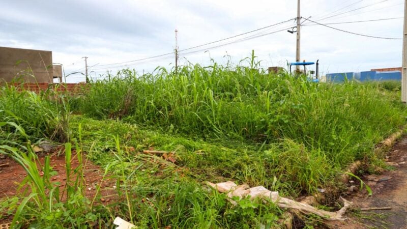 Sorriso: prefeitura autua mais 72 proprietários para limpeza de terrenos baldios  