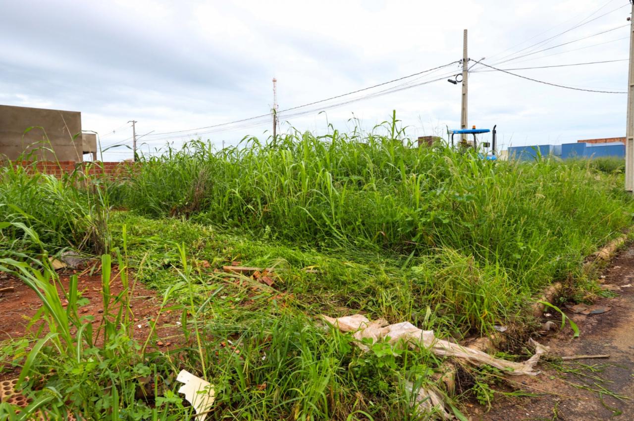 Sorriso: prefeitura autua mais 72 proprietários para limpeza de terrenos baldios  