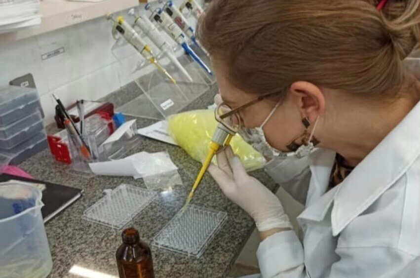 Pesquisadores da UFMT desenvolvem película biodegradável para conservação de alimentos