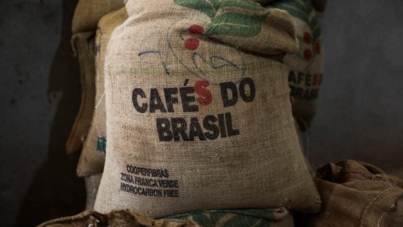 Município de Mato Grosso com maior produção de café colhe 100 mil sacas por ano