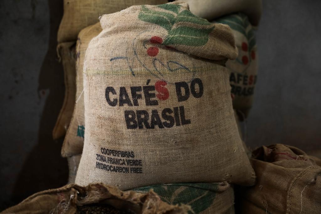 Município de Mato Grosso com maior produção de café colhe 100 mil sacas por ano