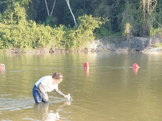 Sema divulga balneabilidade de praias do Teles Pires em Peixoto, Matupá, Colíder e Guarantã do Norte