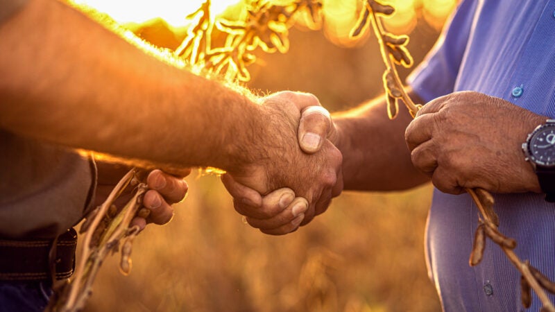 Multinacional lança nove produtos para a safra 2023/24