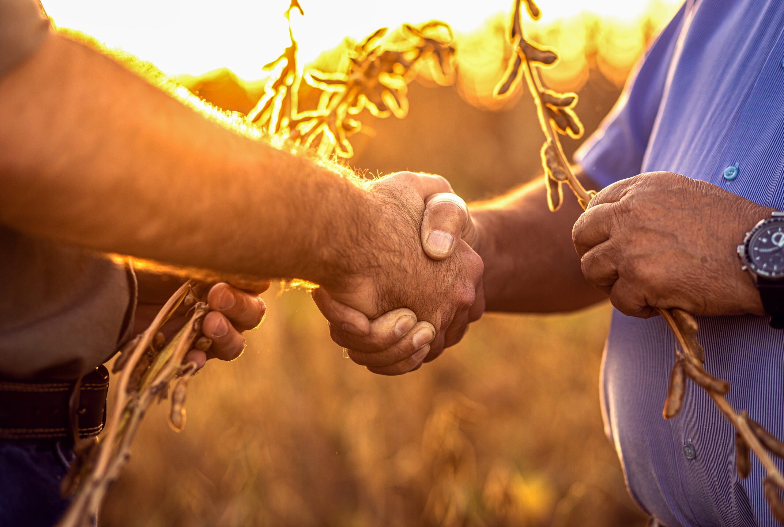 Multinacional lança nove produtos para a safra 2023/24